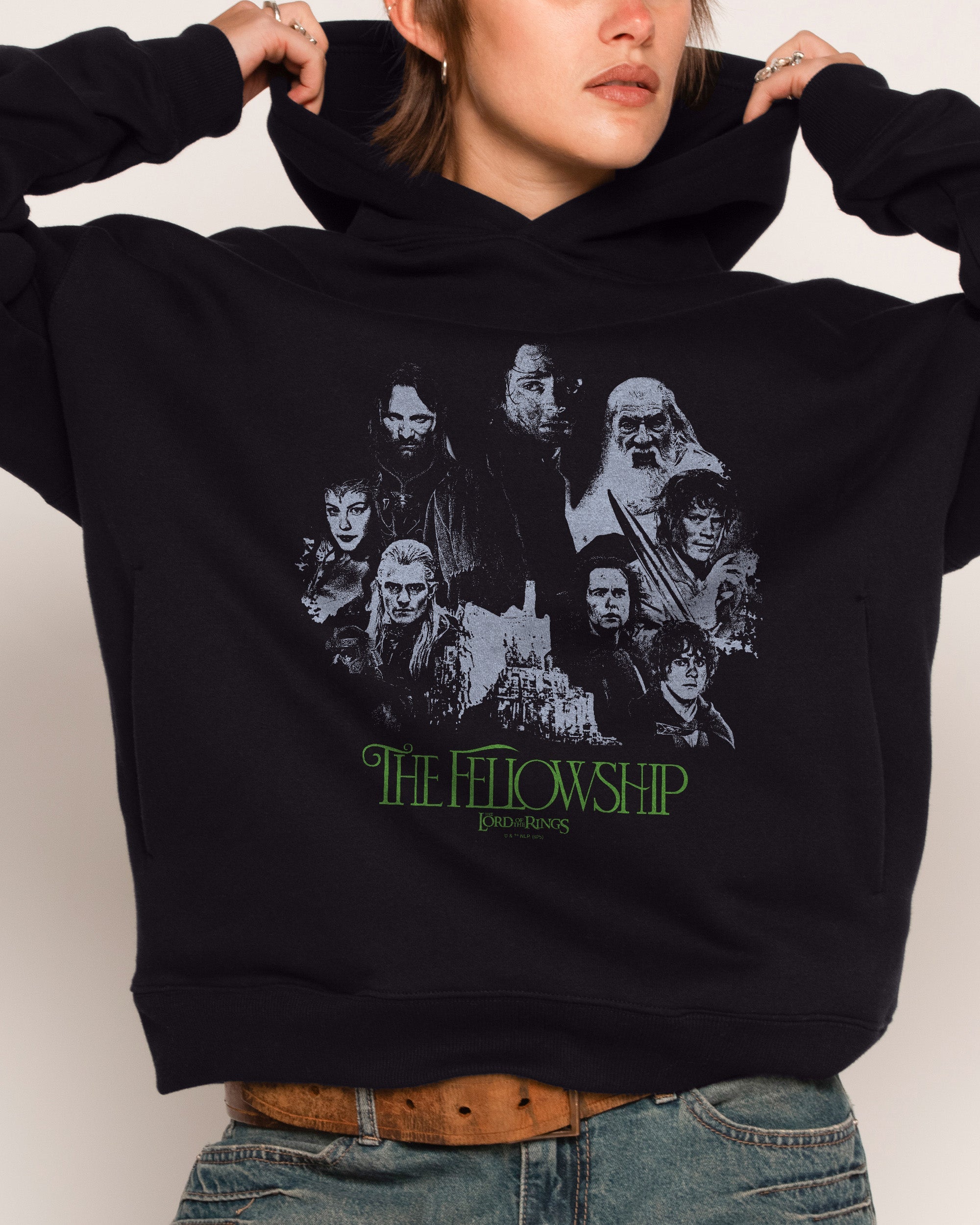 The Fellowship of the Ring Hoodie